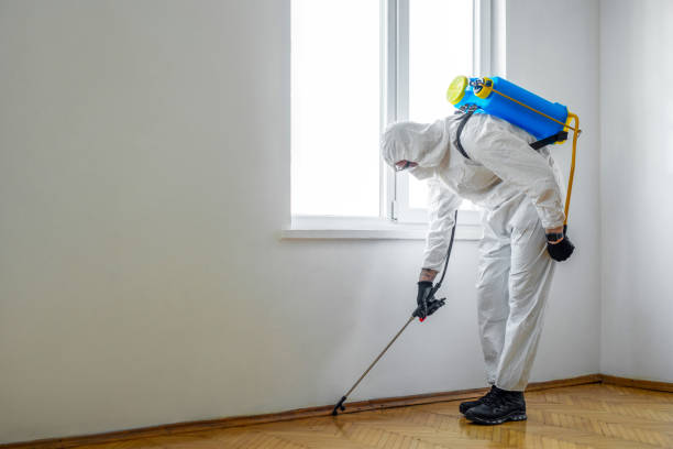 Best Residential Pest Control  in Cullowhee, NC