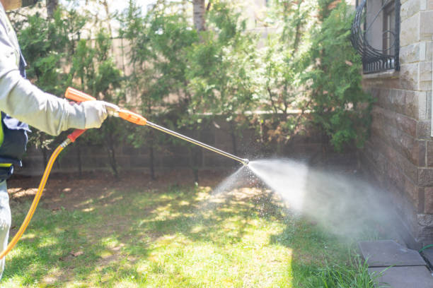 Best Pest Control Treatment  in Cullowhee, NC